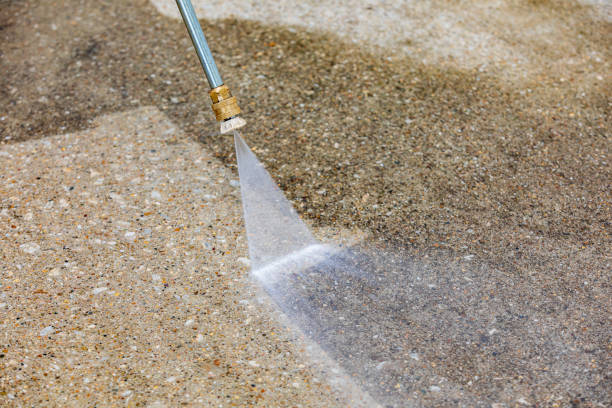 Best Animal Enclosure Cleaning  in Bernice, LA